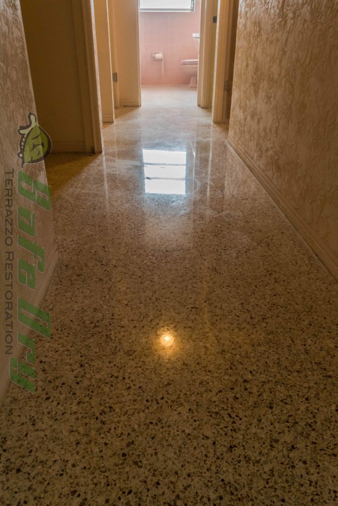 SafeDry Terrazzo Restoration After SafeDry Restoration