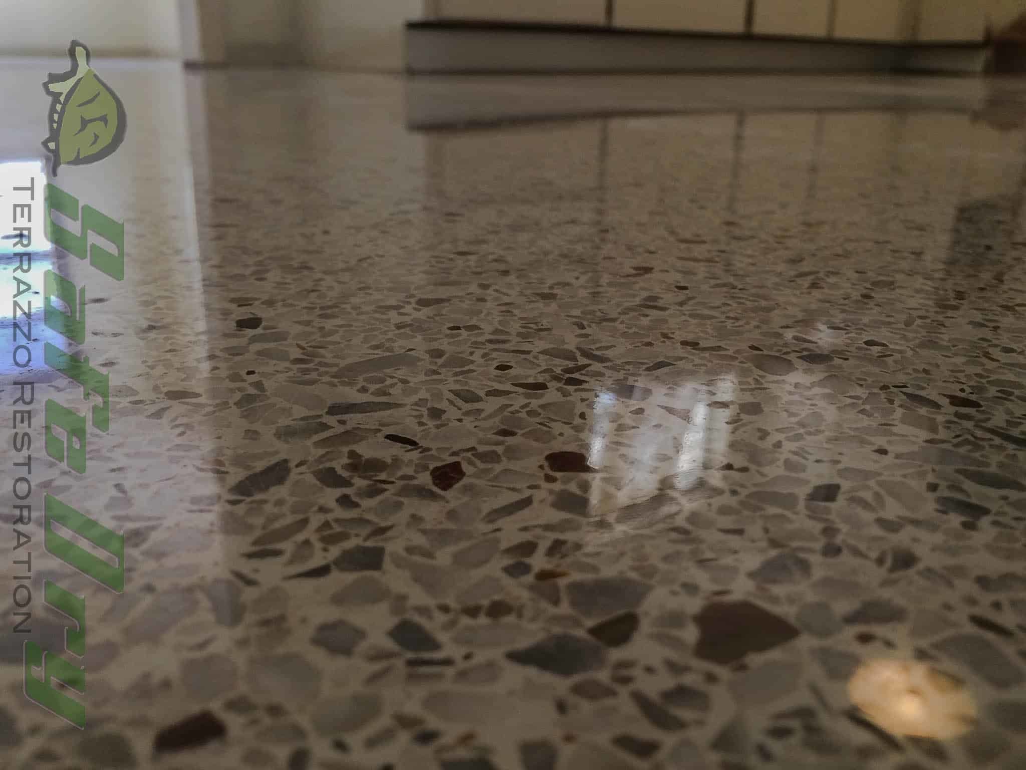 Terrazzo - the heart of Florida's mid-century modern homes